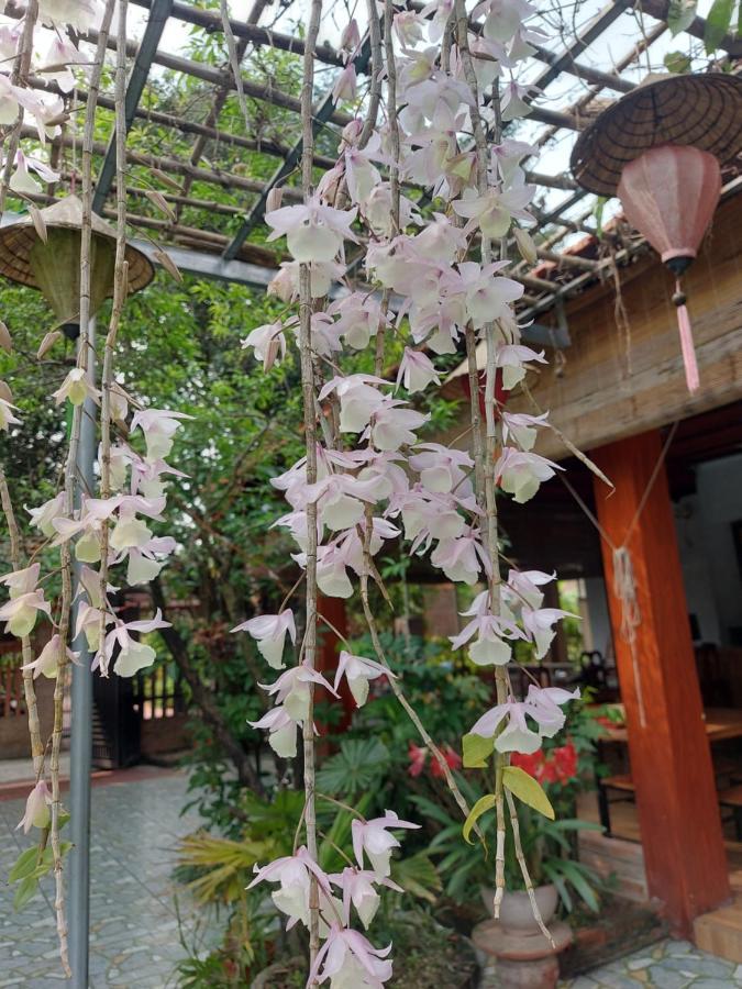 Trang An Family Homestay 宁平 外观 照片